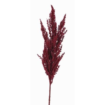 Ramo artificiale di erba di pampa THEMBA, rosso bordeaux, 80cm