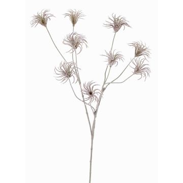 Clematide artificiale HARWAY, marrone scuro, 70cm, Ø7cm