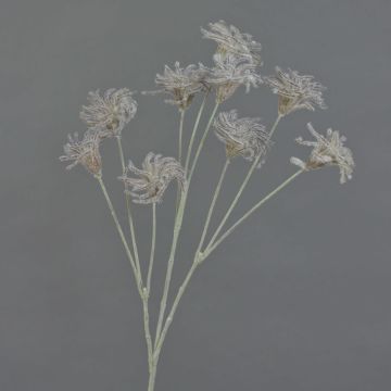 Clematide artificiale HARWAY, marrone scuro, 70cm