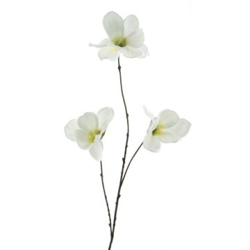 Ramo artificiale magnolia FLAVA, bianco, 85 cm Ramo artificiale magnolia FLAVA, bianco, 85 cm