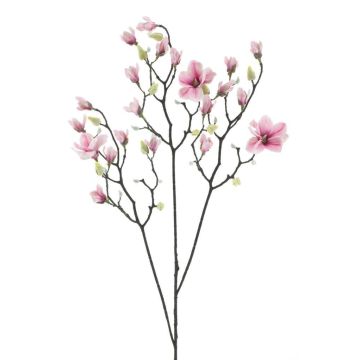 Ramo decorativo magnolia NELKA, rosa-bianco, 125 cm Ramo decorativo magnolia NELKA, rosa-bianco, 125 cm