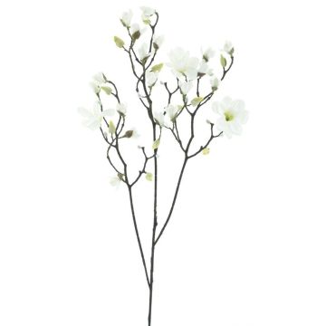 Ramo decorativo magnolia NELKA, bianco, 125 cm