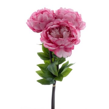 Mazzo di peonie artificiali DUDIL, rosa-rosa shocking, 50 cm