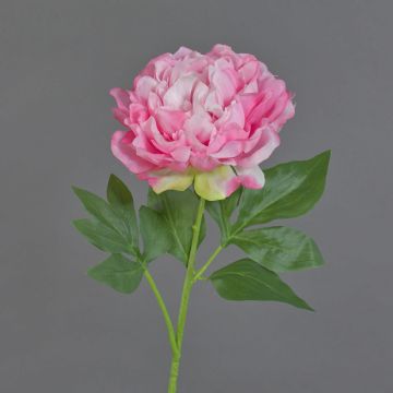 Fiore decorativo peonia CORDOBA, rosa, 55 cm