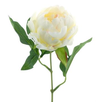 Peonia artificiale TALFY, crema, 35 cm