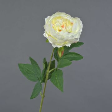 Peonia artificiale TALFY, crema, 65 cm