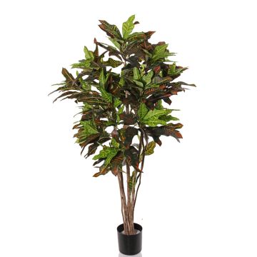 Croton artificiale SHAULA, tronco naturale, verde-rosso, 150cm