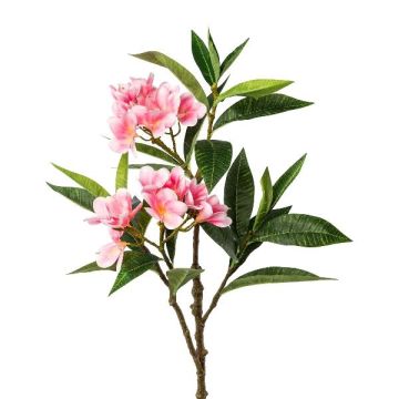 Ramo decorativo frangipani DRIFEN, rosa, 110 cm