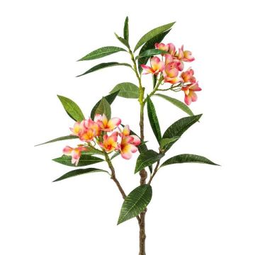 Ramo decorativo frangipani DRIFEN, giallo-rosa, 110 cm