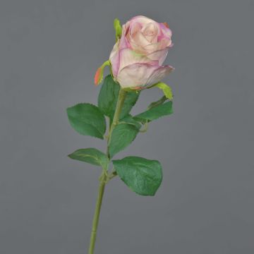 Fiore artificiale rosa KLONI, rosa, 50 cm Fiore artificiale rosa KLONI, rosa, 50 cm