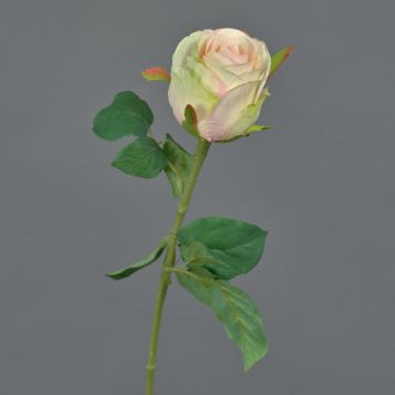 Fiore artificiale rosa KLONI, verde-pesca-rosa, 50cm, Ø5,5cm Fiore artificiale rosa KLONI, verde-pesca-rosa, 50cm, Ø5,5cm