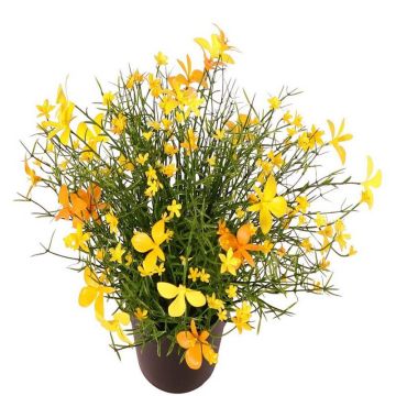 Fiore decorativo Impatiens GISINDA in vaso decorativo, giallo-arancione, 25 cm