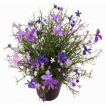 Fiore decorativo Impatiens GISINDA in vaso decorativo, lilla-lilla chiaro, 25cm Fiore decorativo Impatiens GISINDA in vaso decorativo, lilla-lilla chiaro, 25cm