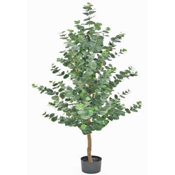 Albero di eucalipto artificiale WEONFYN, tronco artificiale, verde, 180cm Albero di eucalipto artificiale WEONFYN, tronco artificiale, verde, 180cm