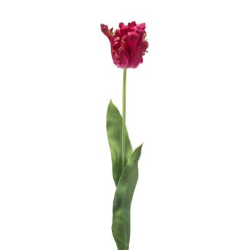 Tulipano pappagallo decorativo LUNIA, rosa, 70 cm Tulipano pappagallo decorativo LUNIA, rosa, 70 cm