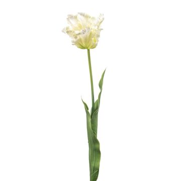 Tulipano a pappagallo decorativo LUNIA, bianco-verde, 70 cm Tulipano a pappagallo decorativo LUNIA, bianco-verde, 70 cm
