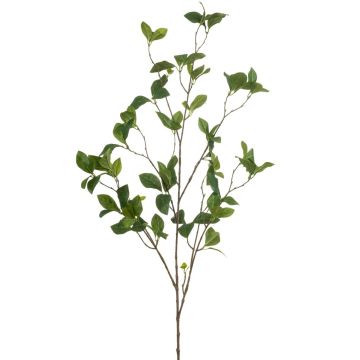 Ramo artificiale di ciliegio VIBIA, verde, 115cm