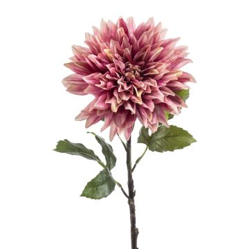 Fiore decorativo dalia JESKA, rosa antico, 65 cm Fiore decorativo dalia JESKA, rosa antico, 65 cm