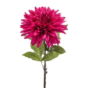 Fiore decorativo Dalia JESKA, rosa shocking, 65 cm Fiore decorativo Dalia JESKA, rosa shocking, 65 cm