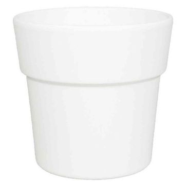 Vaso con bordo per orchidee MARIVAN, ceramica, bianco-opaco, 12,5cm, Ø13,5cm Vaso con bordo per orchidee MARIVAN, ceramica, bianco-opaco, 12,5cm, Ø13,5cm