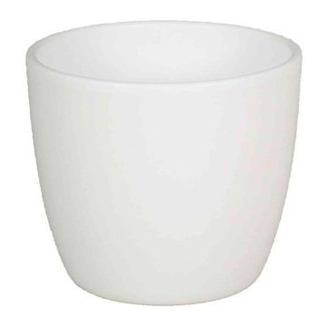 Piccolo vaso in ceramica per piante TEHERAN BASAR, bianco-opaco, 6,5cm, Ø8,5cm