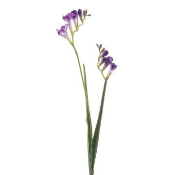 Ramo artificiale di fresia SVERINA, lilla, 80 cm