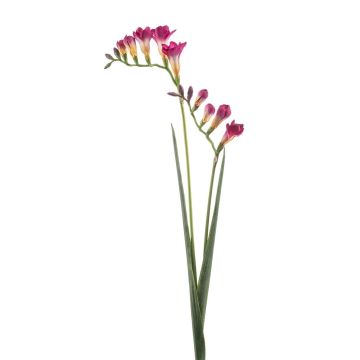 Ramo artificiale di fresia SVERINA, rosa, 80 cm
