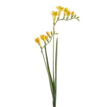 Ramo artificiale di fresia SVERINA, giallo, 80 cm