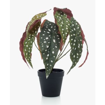 Begonia maculata artificiale ELISEIA, verde-bianco, 30cm