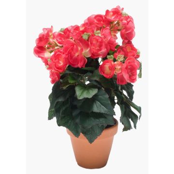 Begonia artificiale CATINKA in vaso di terracotta, rosa, 30cm Begonia artificiale CATINKA in vaso di terracotta, rosa, 30cm