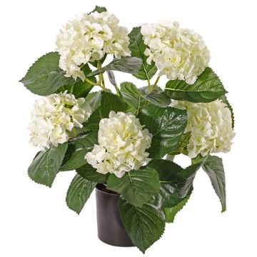 Ortensia artificiale TEMARI, crema, 40cm, Ø10-12cm