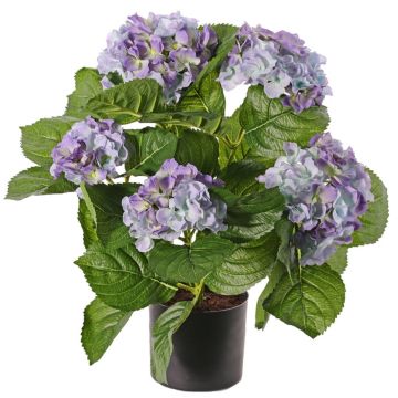 Ortensia artificiale TEMARI, viola, 35cm, Ø10-12cm Ortensia artificiale TEMARI, viola, 35cm, Ø10-12cm