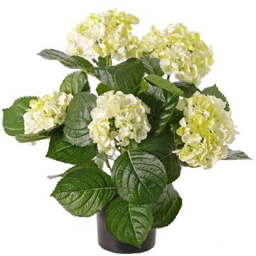 Ortensia artificiale TEMARI, crema-verde, 40cm, Ø10-12cm