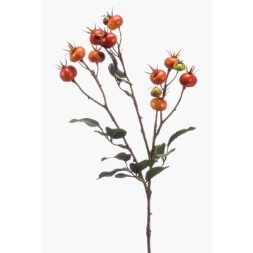 Ramo di rosa selvatica artificiale ARANKA con frutti, arancione, 65cm Ramo di rosa selvatica artificiale ARANKA con frutti, arancione, 65cm