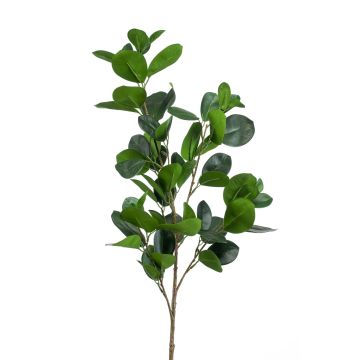 Ramo artificiale di ficus panda BANDE, verde, 90cm