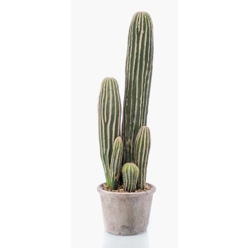 Cactus artificiale San Pedro DACON in vaso decorativo, verde, 55cm