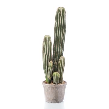 Cactus artificiale San Pedro DACON in vaso decorativo, verde, 55cm Cactus artificiale San Pedro DACON in vaso decorativo, verde, 55cm