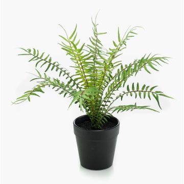 Felce blechnum spicant artificiale CASCOT, verde, 20cm