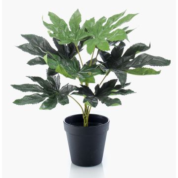 Pianta artificiale di aralia TEULADA, verde, 30cm Pianta artificiale di aralia TEULADA, verde, 30cm