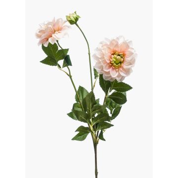 Dahlia finta NAXOS, rosa, 70cm