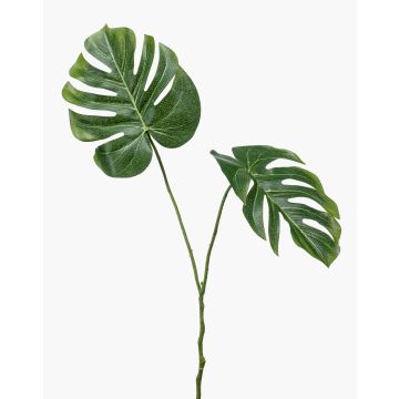 Filodendro Monstera Deliciosa artificiale AECIO, 50cm