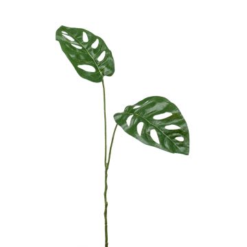 Ramo artificiale di filodendro monstera deliciosa FESTIM, 50cm
