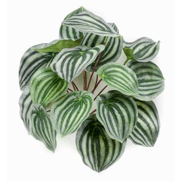 Peperomie artificiale KEPANO su stelo, verde-bianco, 25cm