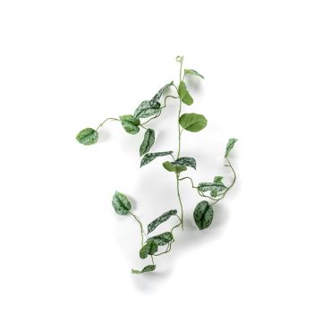 Ghirlanda di epipremnum finta OBASI, verde-bianco, 120cm