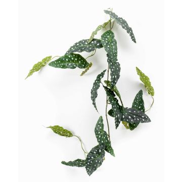 Ghirlanda di begonia maculata finta JOELLE, verde-bianco, 120cm