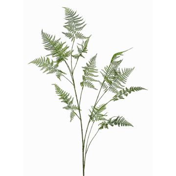Ramo artificiale di asparagus plumosus FAYNA, 135cm Ramo artificiale di asparagus plumosus FAYNA, 135cm