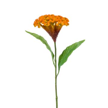 Celosia finta ANUBIS, giallo-arancione, 60cm, Ø13cm