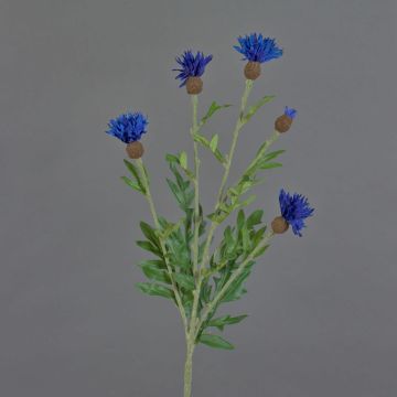 Fiordaliso finto ORTIGO, blu, 60cm