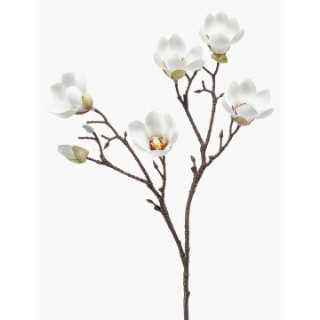 Magnolia finta ANEU, crema, 65cm