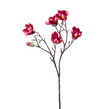 Magnolia finta ANEU, fuchsia, 65cm